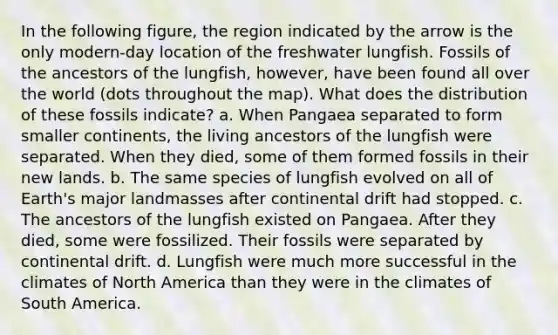 In the following figure, the region indicated by the arrow is the only modern-day location of the freshwater lungfish. Fossils of the ancestors of the lungfish, however, have been found all over the world (dots throughout the map). What does the distribution of these fossils indicate? a. When Pangaea separated to form smaller continents, the living ancestors of the lungfish were separated. When they died, some of them formed fossils in their new lands. b. The same species of lungfish evolved on all of Earth's major landmasses after continental drift had stopped. c. The ancestors of the lungfish existed on Pangaea. After they died, some were fossilized. Their fossils were separated by continental drift. d. Lungfish were much more successful in the climates of North America than they were in the climates of South America.