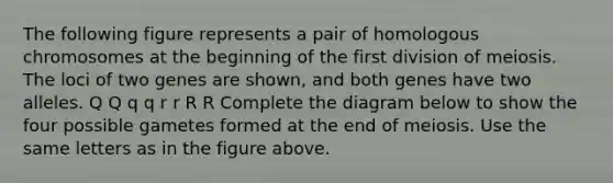 The following figure represents a pair of homologous chromosomes at the beginning of the first division of meiosis. The loci of two genes are shown, and both genes have two alleles. Q Q q q r r R R Complete the diagram below to show the four possible gametes formed at the end of meiosis. Use the same letters as in the figure above.