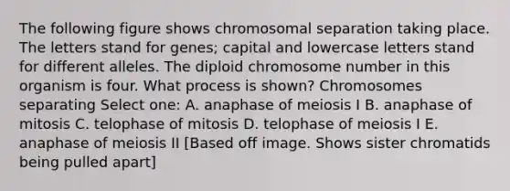 The following figure shows chromosomal separation taking place. The letters stand for genes; capital and lowercase letters stand for different alleles. The diploid chromosome number in this organism is four. What process is shown? Chromosomes separating Select one: A. anaphase of meiosis I B. anaphase of mitosis C. telophase of mitosis D. telophase of meiosis I E. anaphase of meiosis II [Based off image. Shows sister chromatids being pulled apart]