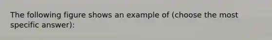 The following figure shows an example of (choose the most specific answer):