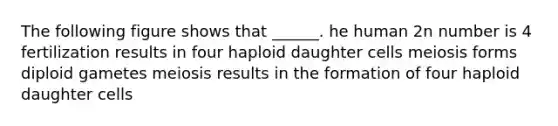 The following figure shows that ______. he human 2n number is 4 fertilization results in four haploid daughter cells meiosis forms diploid gametes meiosis results in the formation of four haploid daughter cells