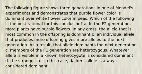 The following figure shows three generations in one of Mendel's experiments and demonstrates that purple flower color is dominant over white flower color in peas. Which of the following is the best rational for this conclusion? a. In the F2 generation, more plants have purple flowers. In any cross, the allele that is most common in the offspring is dominant b. an individual allele that produces more offspring gives more alleles to the next generation. As a result, that allele dominants the next generation c. members of the F1 generation are heterozygous. Whatever allele is visible in a known heterozygote is considered dominant d. the stronger - or in this case, darker - allele is always considered dominant