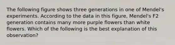 The following figure shows three generations in one of Mendel's experiments. According to the data in this figure, Mendel's F2 generation contains many more purple flowers than white flowers. Which of the following is the best explanation of this observation?