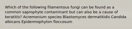 Which of the following filamentous fungi can be found as a common saprophyte contaminant but can also be a cause of keratitis? Acremonium species Blastomyces dermatitidis Candida albicans Epidermophyton floccosum