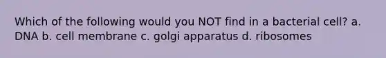 Which of the following would you NOT find in a bacterial cell? a. DNA b. cell membrane c. golgi apparatus d. ribosomes