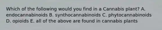 Which of the following would you find in a Cannabis plant? A. endocannabinoids B. synthocannabinoids C. phytocannabinoids D. opioids E. all of the above are found in cannabis plants