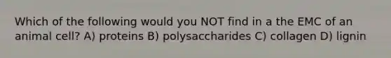 Which of the following would you NOT find in a the EMC of an animal cell? A) proteins B) polysaccharides C) collagen D) lignin