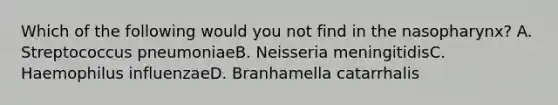 Which of the following would you not find in the nasopharynx? A. Streptococcus pneumoniaeB. Neisseria meningitidisC. Haemophilus influenzaeD. Branhamella catarrhalis