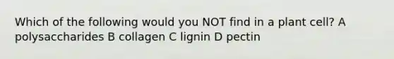 Which of the following would you NOT find in a plant cell? A polysaccharides B collagen C lignin D pectin