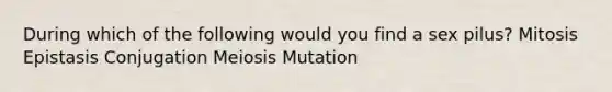 During which of the following would you find a sex pilus? Mitosis Epistasis Conjugation Meiosis Mutation