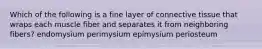 Which of the following is a fine layer of connective tissue that wraps each muscle fiber and separates it from neighboring fibers? endomysium perimysium epimysium periosteum