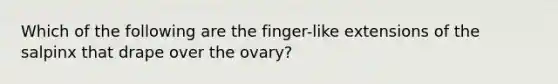 Which of the following are the finger-like extensions of the salpinx that drape over the ovary?