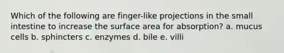 Which of the following are finger-like projections in the small intestine to increase the surface area for absorption? a. mucus cells b. sphincters c. enzymes d. bile e. villi