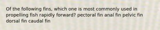 Of the following fins, which one is most commonly used in propelling fish rapidly forward? pectoral fin anal fin pelvic fin dorsal fin caudal fin