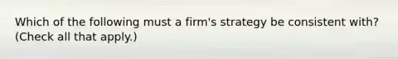 Which of the following must a firm's strategy be consistent with? (Check all that apply.)