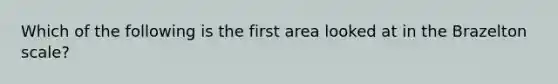 Which of the following is the first area looked at in the Brazelton scale?