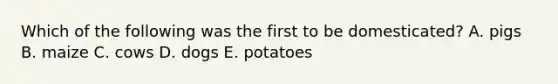 Which of the following was the first to be domesticated? A. pigs B. maize C. cows D. dogs E. potatoes