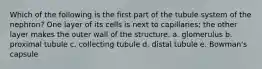 Which of the following is the first part of the tubule system of the nephron? One layer of its cells is next to capillaries; the other layer makes the outer wall of the structure. a. glomerulus b. proximal tubule c. collecting tubule d. distal tubule e. Bowman's capsule