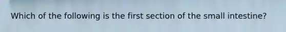 Which of the following is the first section of the small intestine?