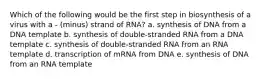 Which of the following would be the first step in biosynthesis of a virus with a - (minus) strand of RNA? a. synthesis of DNA from a DNA template b. synthesis of double-stranded RNA from a DNA template c. synthesis of double-stranded RNA from an RNA template d. transcription of mRNA from DNA e. synthesis of DNA from an RNA template