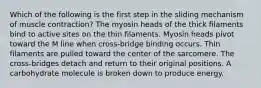 Which of the following is the first step in the sliding mechanism of muscle contraction? The myosin heads of the thick filaments bind to active sites on the thin filaments. Myosin heads pivot toward the M line when cross-bridge binding occurs. Thin filaments are pulled toward the center of the sarcomere. The cross-bridges detach and return to their original positions. A carbohydrate molecule is broken down to produce energy.