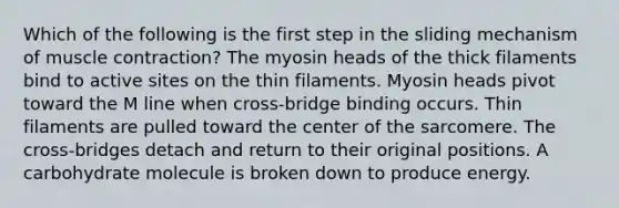 Which of the following is the first step in the sliding mechanism of <a href='https://www.questionai.com/knowledge/k0LBwLeEer-muscle-contraction' class='anchor-knowledge'>muscle contraction</a>? The myosin heads of the thick filaments bind to active sites on the thin filaments. Myosin heads pivot toward the M line when cross-bridge binding occurs. Thin filaments are pulled toward the center of the sarcomere. The cross-bridges detach and return to their original positions. A carbohydrate molecule is broken down to produce energy.