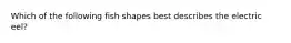 Which of the following fish shapes best describes the electric eel?