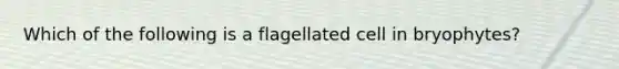 Which of the following is a flagellated cell in bryophytes?