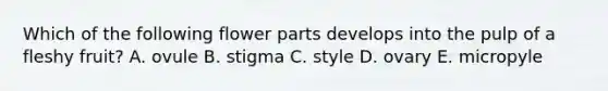 Which of the following flower parts develops into the pulp of a fleshy fruit? A. ovule B. stigma C. style D. ovary E. micropyle
