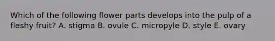 Which of the following flower parts develops into the pulp of a fleshy fruit? A. stigma B. ovule C. micropyle D. style E. ovary