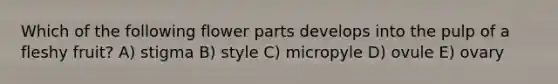 Which of the following flower parts develops into the pulp of a fleshy fruit? A) stigma B) style C) micropyle D) ovule E) ovary