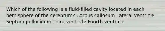 Which of the following is a fluid-filled cavity located in each hemisphere of the cerebrum? Corpus callosum Lateral ventricle Septum pellucidum Third ventricle Fourth ventricle