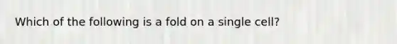 Which of the following is a fold on a single cell?