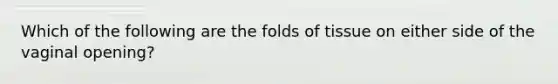 Which of the following are the folds of tissue on either side of the vaginal opening?