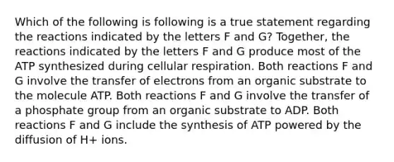 Which of the following is following is a true statement regarding the reactions indicated by the letters F and G? Together, the reactions indicated by the letters F and G produce most of the ATP synthesized during cellular respiration. Both reactions F and G involve the transfer of electrons from an organic substrate to the molecule ATP. Both reactions F and G involve the transfer of a phosphate group from an organic substrate to ADP. Both reactions F and G include the synthesis of ATP powered by the diffusion of H+ ions.