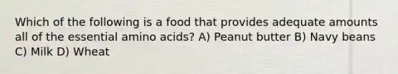 Which of the following is a food that provides adequate amounts all of the essential amino acids? A) Peanut butter B) Navy beans C) Milk D) Wheat