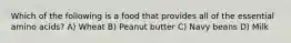 Which of the following is a food that provides all of the essential amino acids? A) Wheat B) Peanut butter C) Navy beans D) Milk