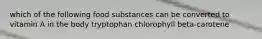 which of the following food substances can be converted to vitamin A in the body tryptophan chlorophyll beta-carotene