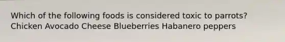 Which of the following foods is considered toxic to parrots? Chicken Avocado Cheese Blueberries Habanero peppers