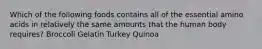 Which of the following foods contains all of the essential amino acids in relatively the same amounts that the human body requires? Broccoli Gelatin Turkey Quinoa