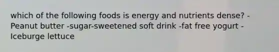 which of the following foods is energy and nutrients dense? -Peanut butter -sugar-sweetened soft drink -fat free yogurt -Iceburge lettuce