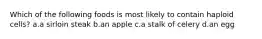 Which of the following foods is most likely to contain haploid cells? a.a sirloin steak b.an apple c.a stalk of celery d.an egg