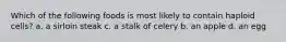 Which of the following foods is most likely to contain haploid cells? a. a sirloin steak c. a stalk of celery b. an apple d. an egg