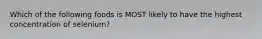 Which of the following foods is MOST likely to have the highest concentration of selenium?