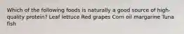 Which of the following foods is naturally a good source of high-quality protein? Leaf lettuce Red grapes Corn oil margarine Tuna fish