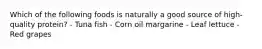 Which of the following foods is naturally a good source of high-quality protein? - Tuna fish - Corn oil margarine - Leaf lettuce - Red grapes