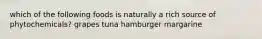 which of the following foods is naturally a rich source of phytochemicals? grapes tuna hamburger margarine