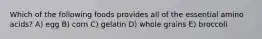 Which of the following foods provides all of the essential amino acids? A) egg B) corn C) gelatin D) whole grains E) broccoli