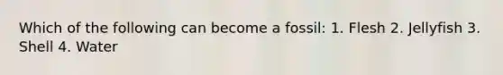 Which of the following can become a fossil: 1. Flesh 2. Jellyfish 3. Shell 4. Water