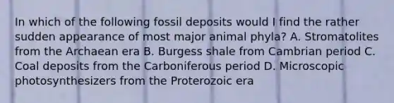 In which of the following fossil deposits would I find the rather sudden appearance of most major animal phyla? A. Stromatolites from the Archaean era B. Burgess shale from Cambrian period C. Coal deposits from the Carboniferous period D. Microscopic photosynthesizers from the Proterozoic era